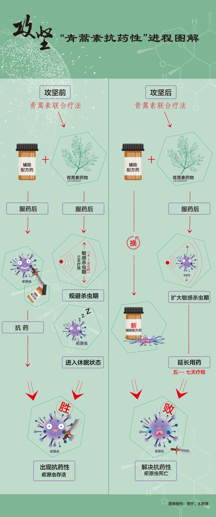 屠呦呦团队放大招:青蒿素抗药性等研究获新突破